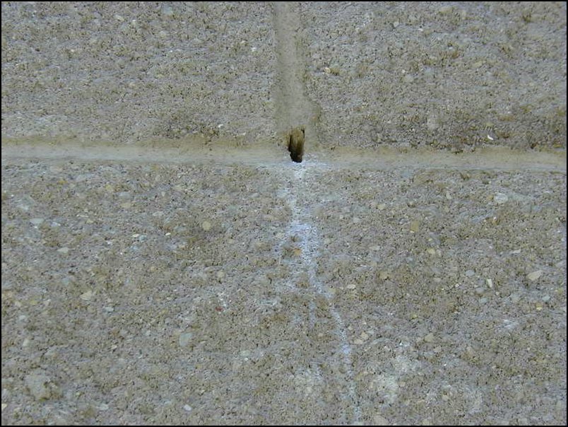 one_of_many_holes_and_drainage_stains_illusions.jpg