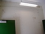 no_ventilation_needed_mildew_illusion.jpg