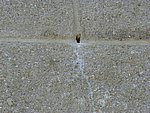 one_of_many_holes_and_drainage_stains_illusions.jpg